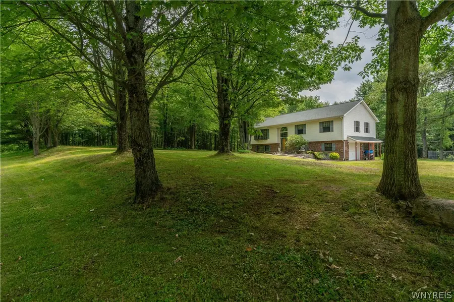 7459 Concord Road, Springville, NY 14141 - #2