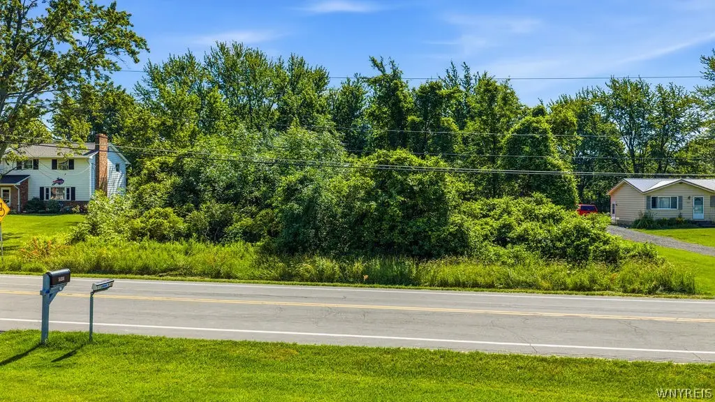 V/L Bridgeman (#1) Road, Lewiston, NY 14092 - #1