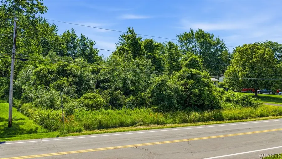 V/L Bridgeman (#1) Road, Lewiston, NY 14092 - #3