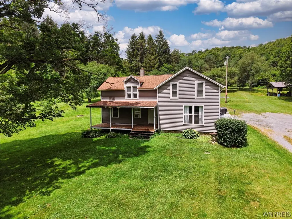 7385 Toad Hollow Road, Little Valley, NY 14755 - #1