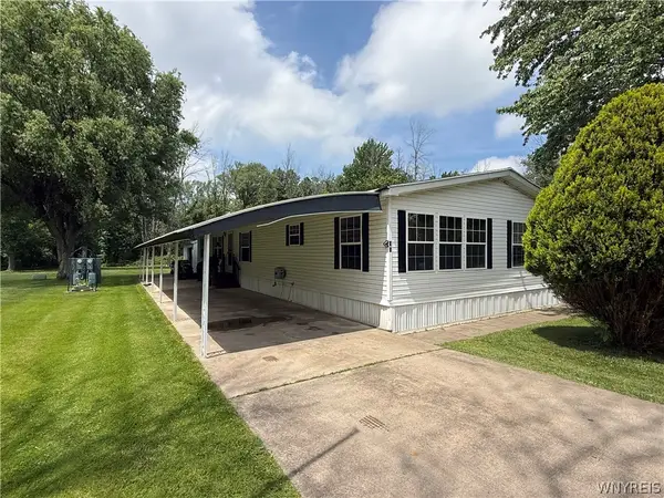 35 Beechwood, Albion, NY 14411