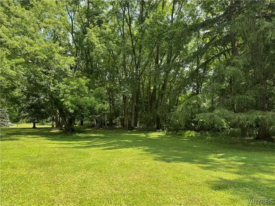 56 Pine Street, Portville, NY 14770 - #2