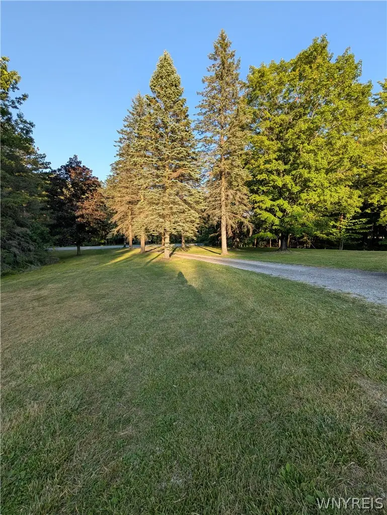7236 Lower East Hill Road, Colden, NY 14033 - #2