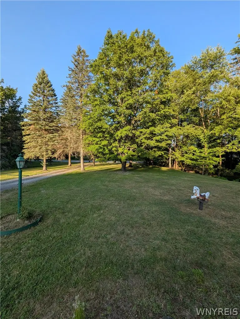 7236 Lower East Hill Road, Colden, NY 14033 - #3