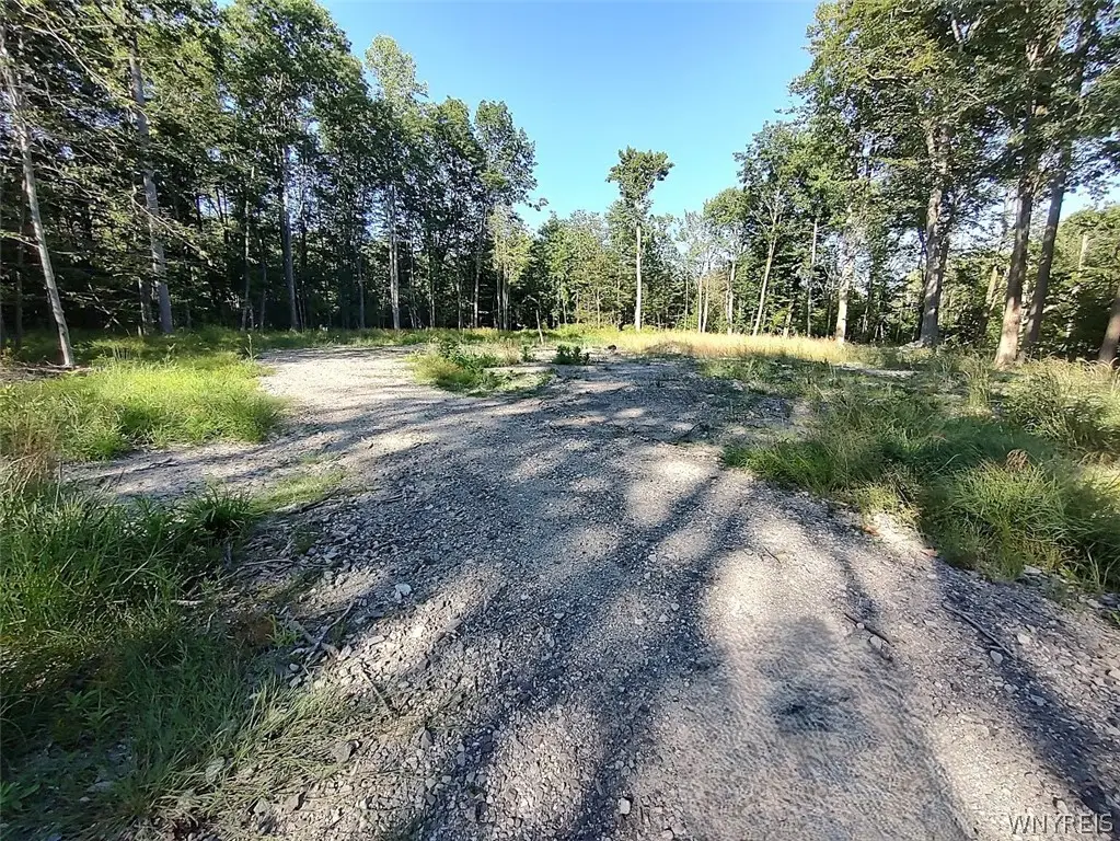 Beach Road #207, Angola, NY 14006 - #1