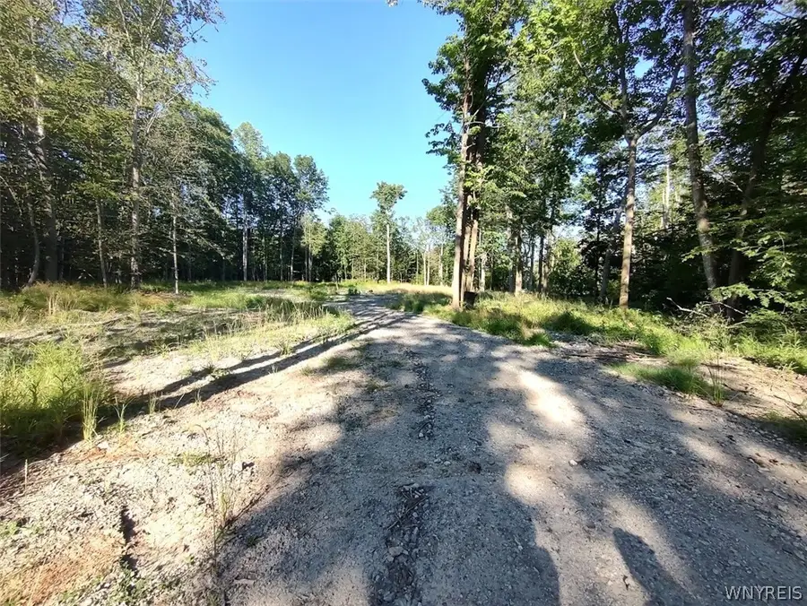 Beach Road #207, Angola, NY 14006 - #2