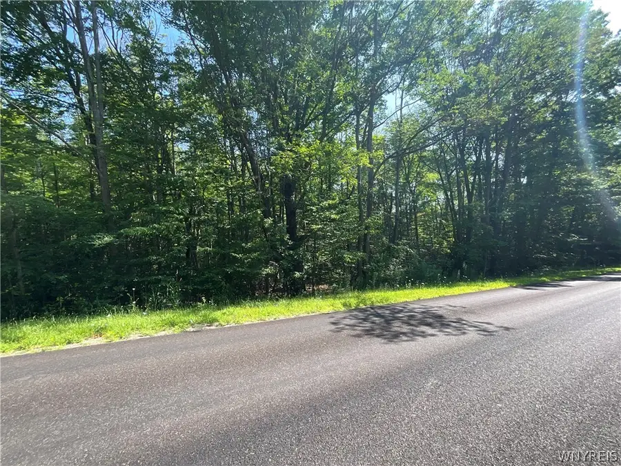 Cr-49, Caneadea, NY 14717 - #2