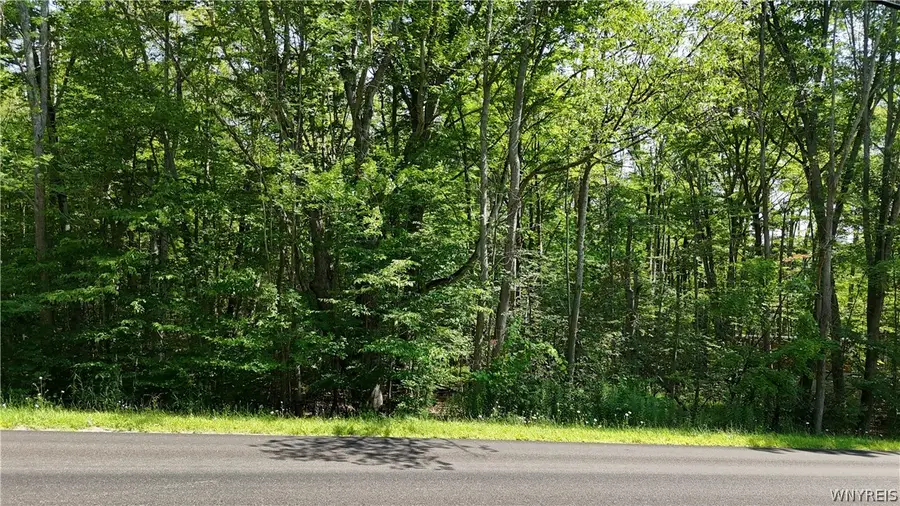 Cr-49, Caneadea, NY 14717 - #3