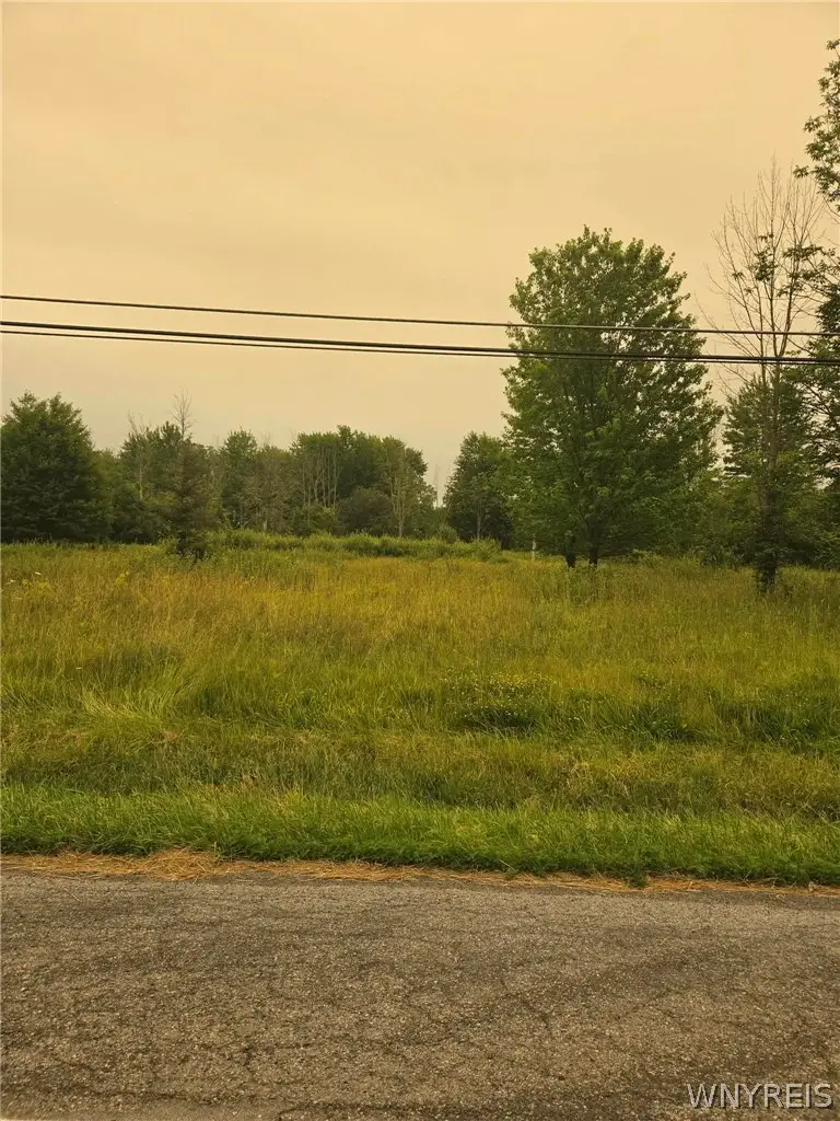 4923 Gasport Road, Gasport, NY 14067 - #1