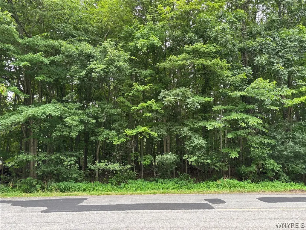 1840 W Blood Road, Elma, NY 14059 - #1