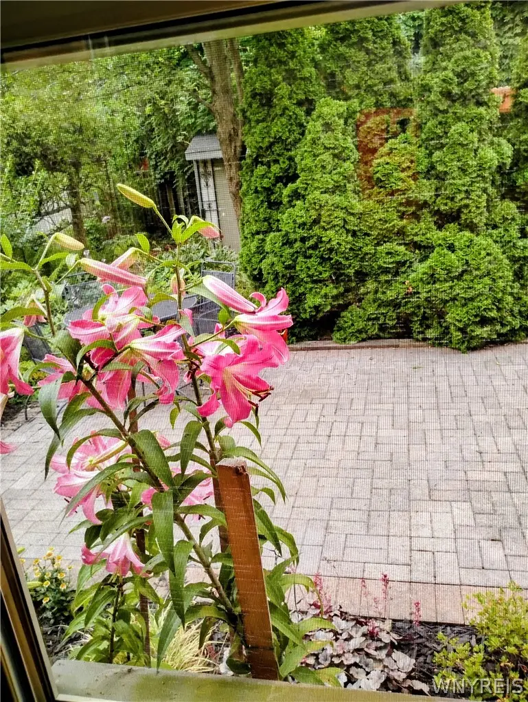 36 Rabin, Buffalo, NY 14201 - #2