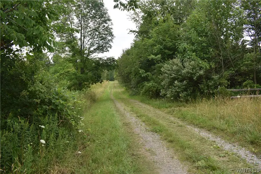 Vermont Hill, Holland, NY 14080 - #3
