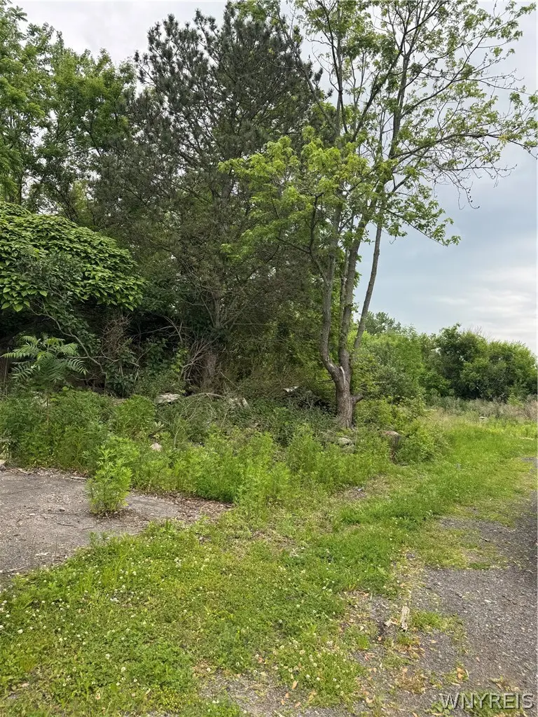 Danielle Drive N, Niagara Falls, NY 14304 - #1