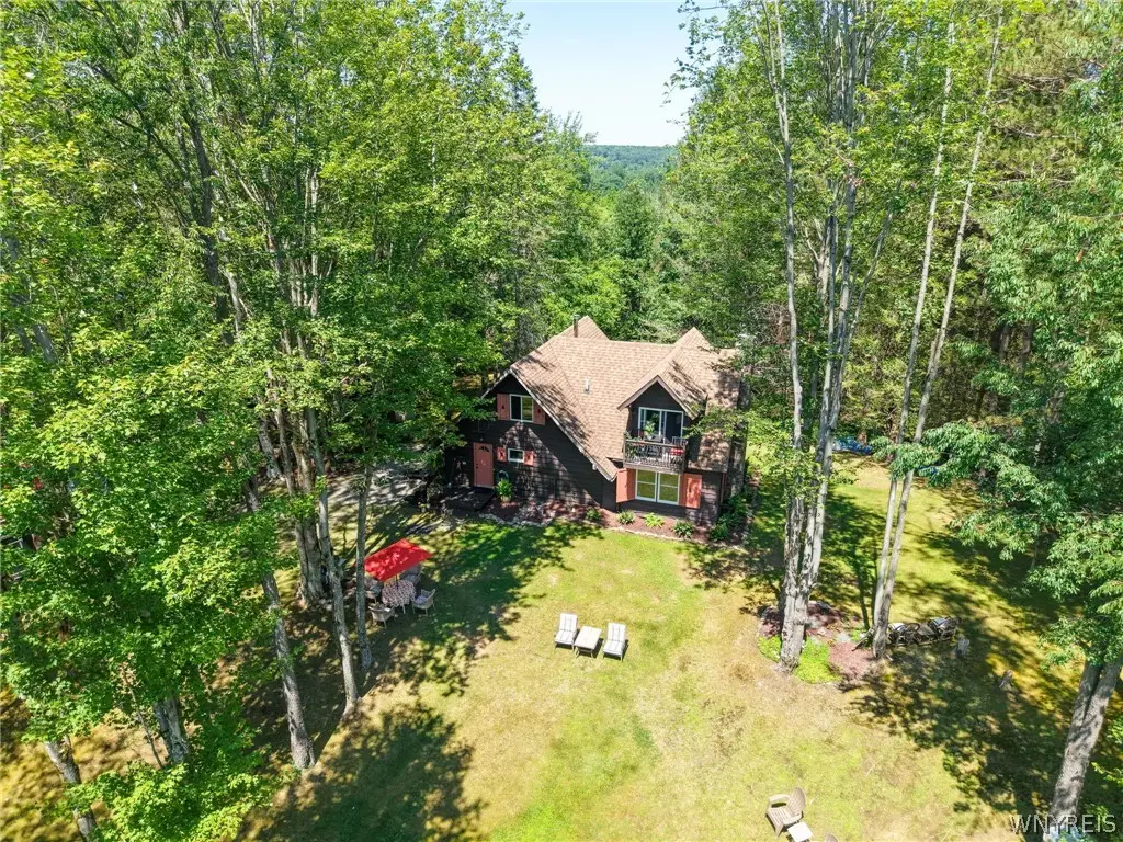 50 Pine Road, East Otto, NY 14729 - #1