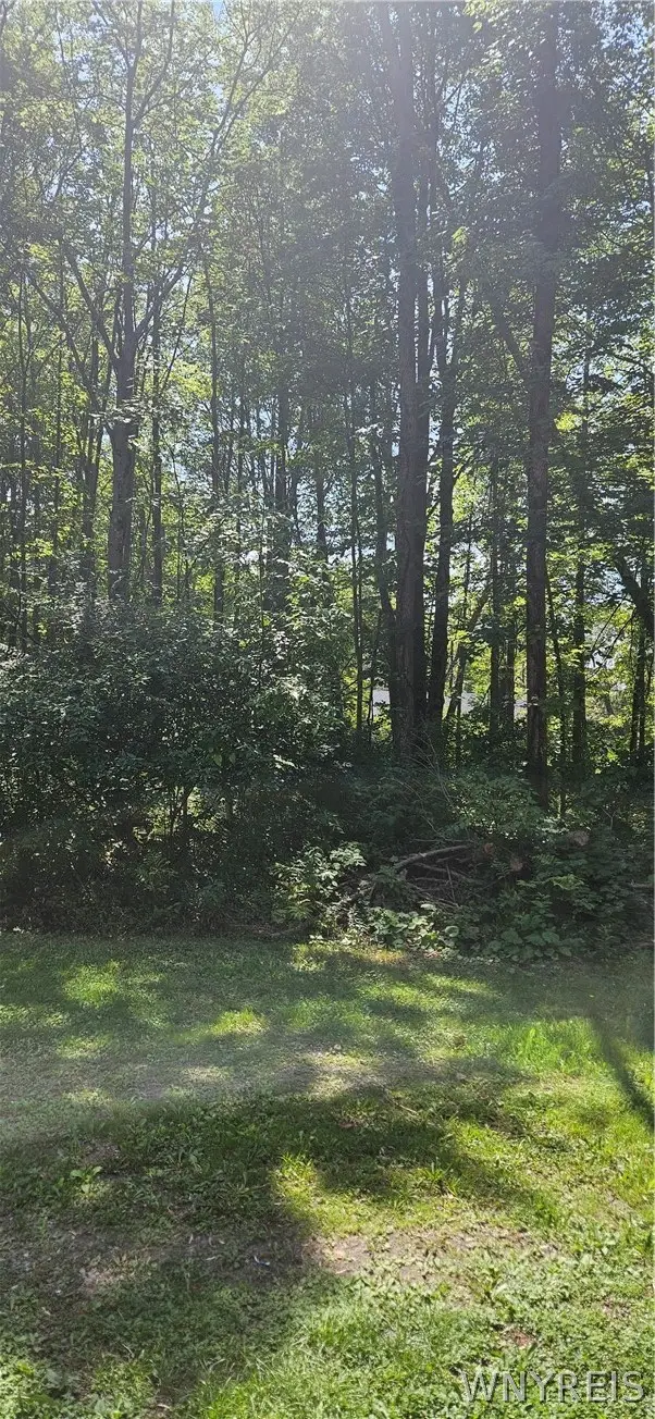 Adams Avenue, Angola, NY 14006 - #2