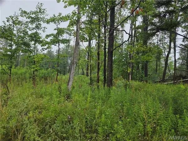 Lot 1 Darien Road, Colden, NY 14033
