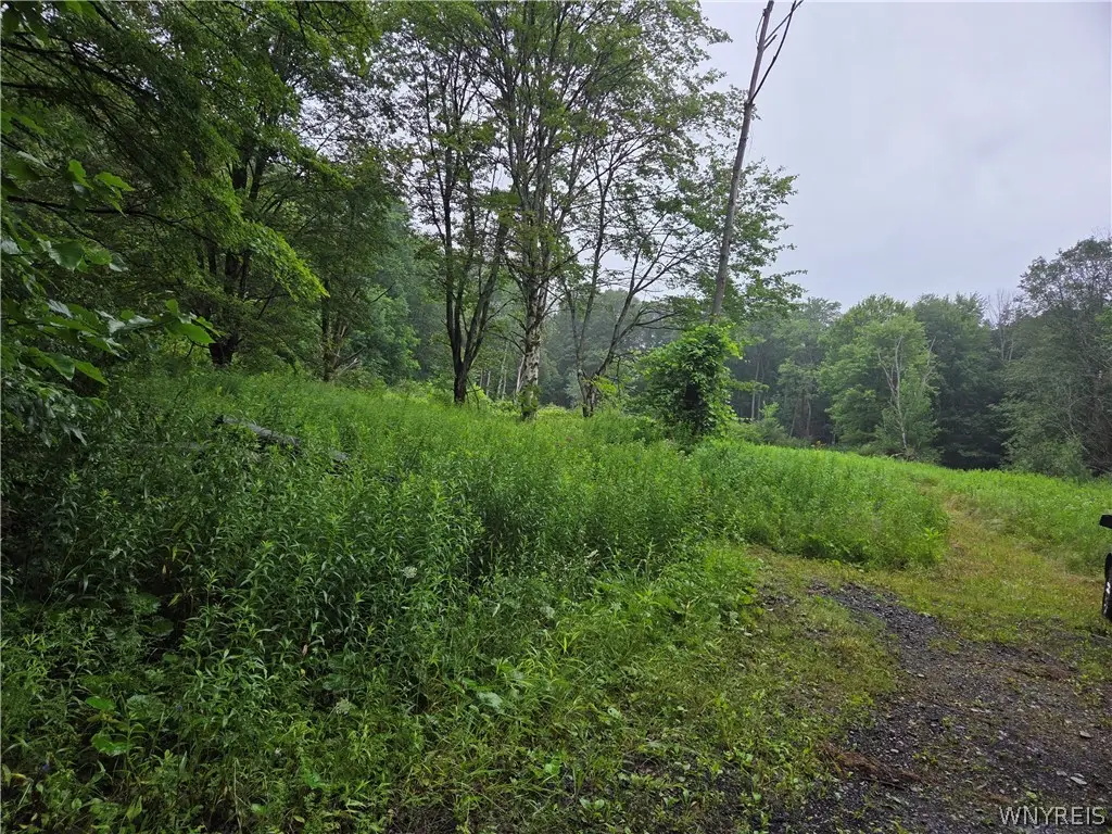 Warner Gulf Road, Holland, NY 14080 - #1