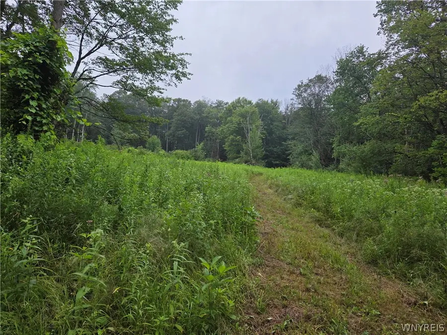 Warner Gulf Road, Holland, NY 14080 - #2