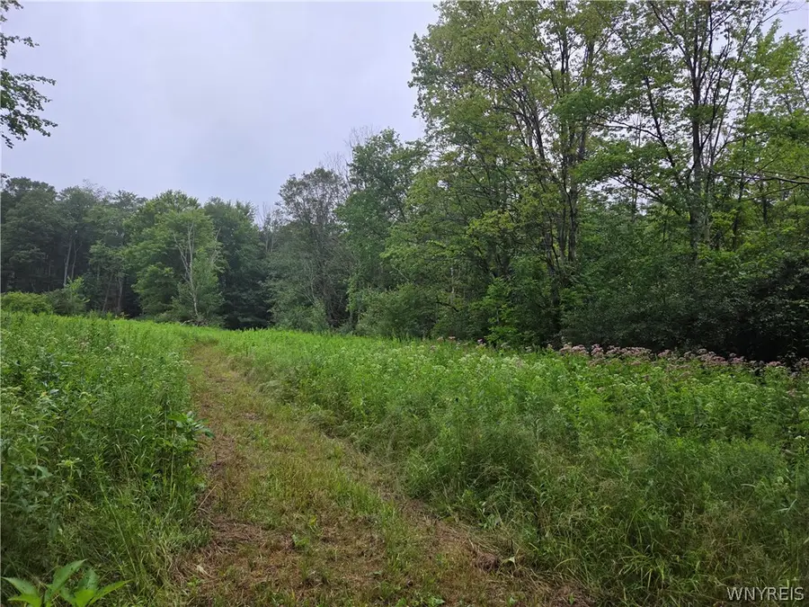 Warner Gulf Road, Holland, NY 14080 - #3