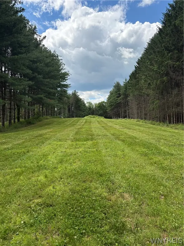 3939 Stalker Road, Macedon, NY 14502