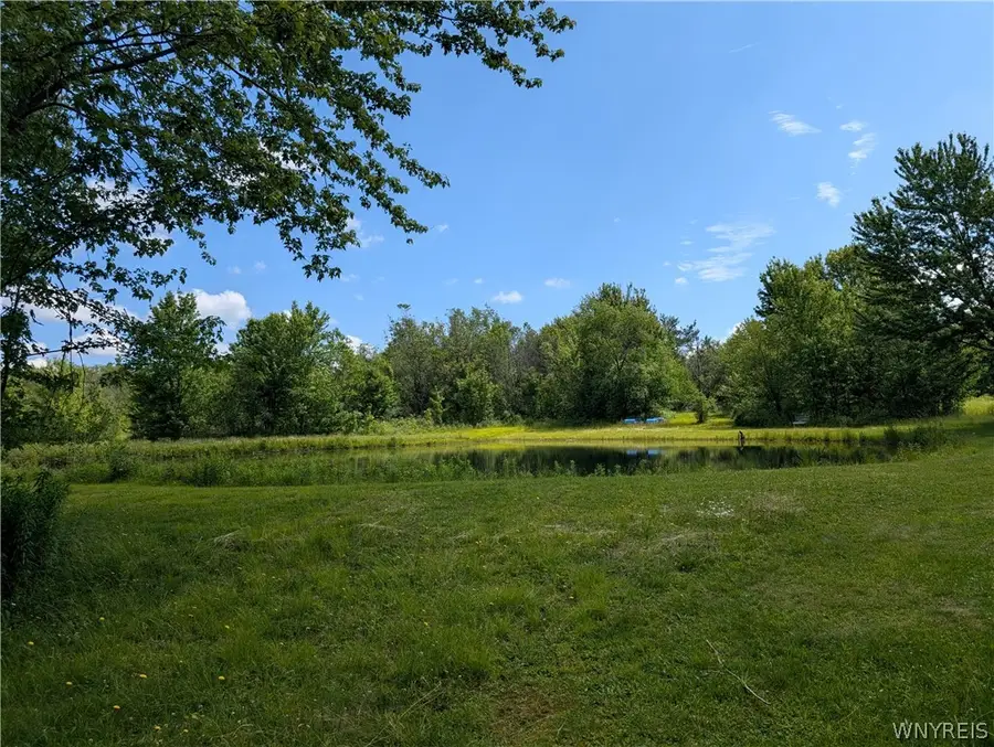V/L North Hill Road, Sinclairville, NY 14782 - #2