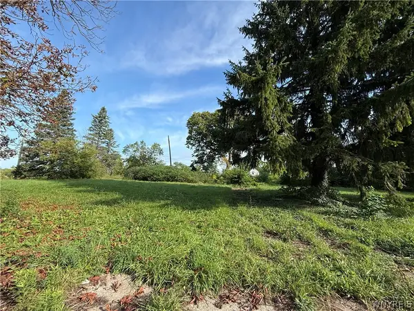 718 Willow Avenue, Niagara Falls, NY 14305