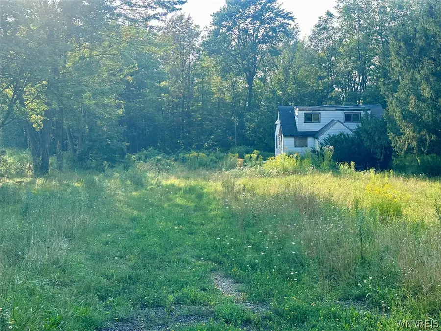 8486 Feddick Road, Hamburg, NY 14075 - #3