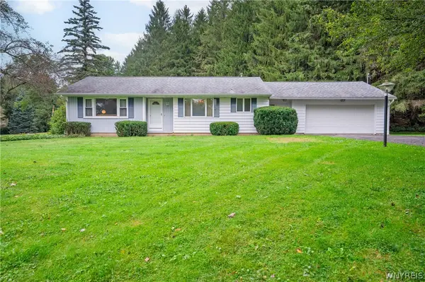 8460 Stanfield Road, Colden, NY 14033