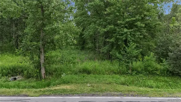 V/L Calkins & Creek Road, Lewiston, NY 14092