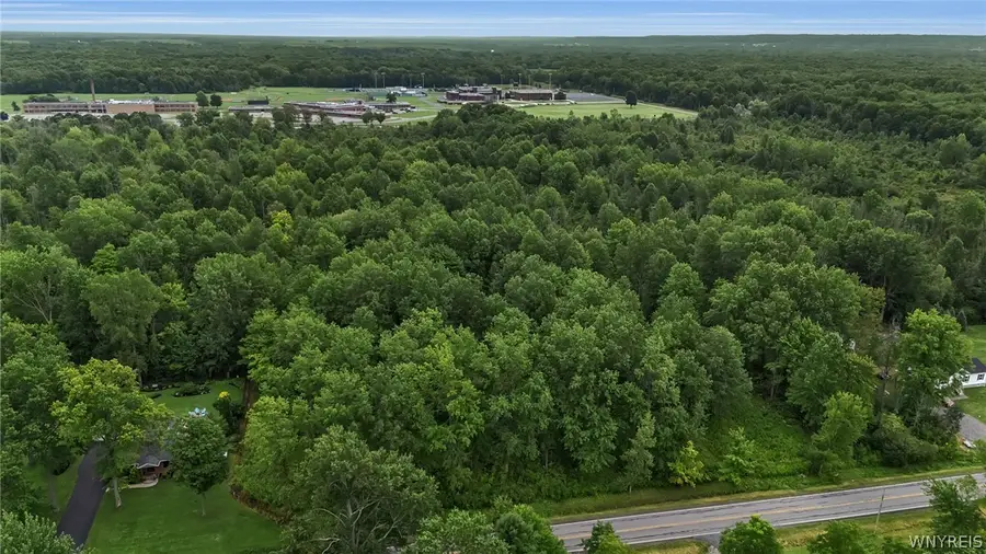 V/L Calkins & Creek Road, Lewiston, NY 14092 - #3