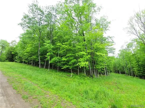 0 Cr-24- Lot 18, Swain, NY 14884