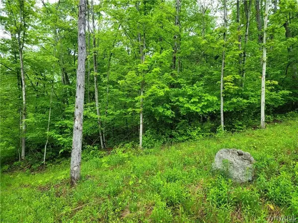 0 Co Road 24- Lot 1, Swain, NY 14884