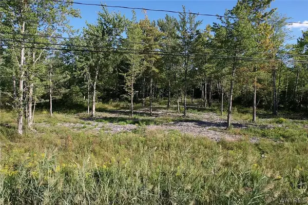 V/L Southwestern Boulevard, Angola, NY 14006