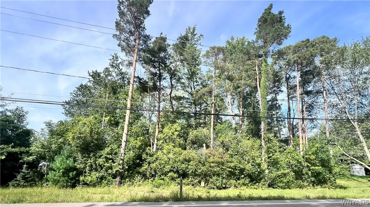 0 Newton Road, Hamburg, NY 14075 - #1