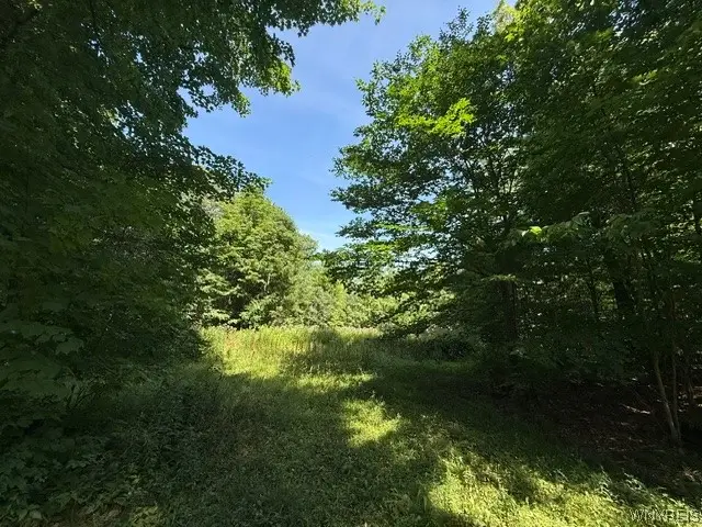V/L Syler Road, Warsaw, NY 14569 - #1