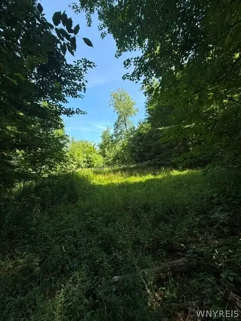 V/L Syler Road, Warsaw, NY 14569 - #2