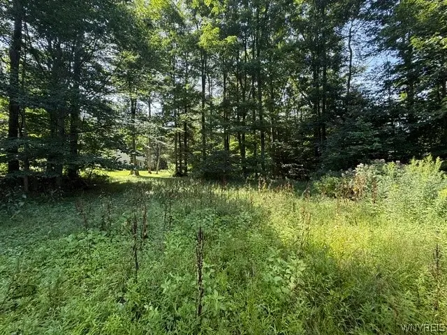 V/L Syler Road, Warsaw, NY 14569 - #3