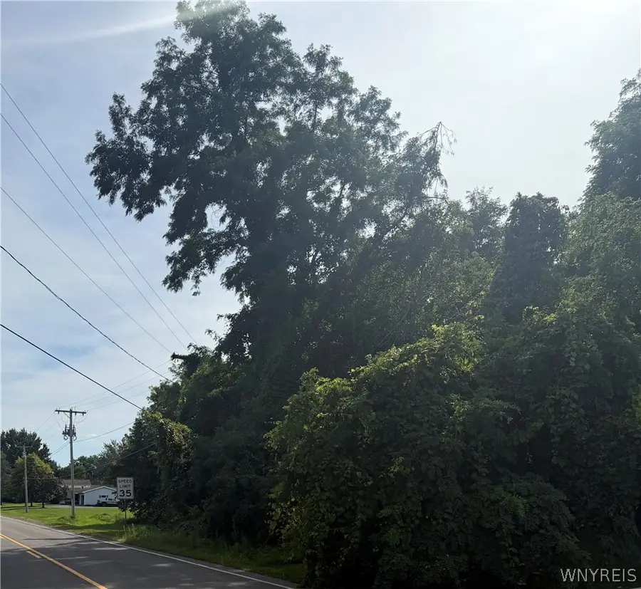 1194 Quaker Road, Barker, NY 14012 - #3