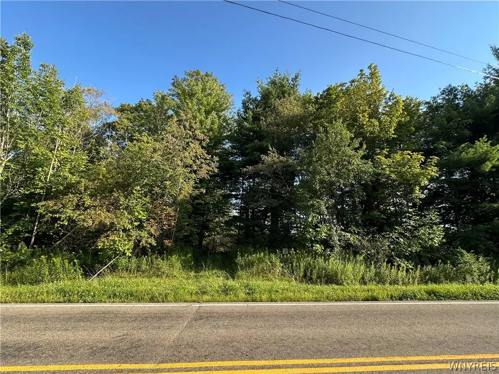 V/L Genesee Road, Lawtons, NY 14091 - #1