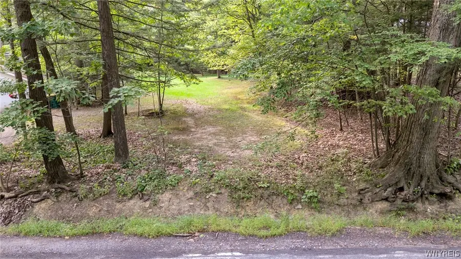 VL Chestnut Ridge Road, Orchard Park, NY 14127 - #3