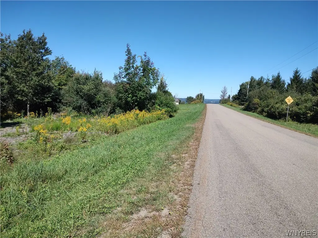 0 Dutch Hill Rd, Lot #2, West Valley, NY 14171 - #1