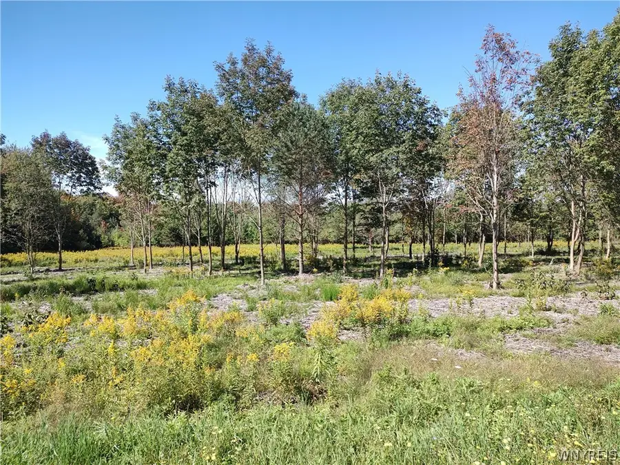0 Dutch Hill Rd, Lot #2, West Valley, NY 14171 - #3