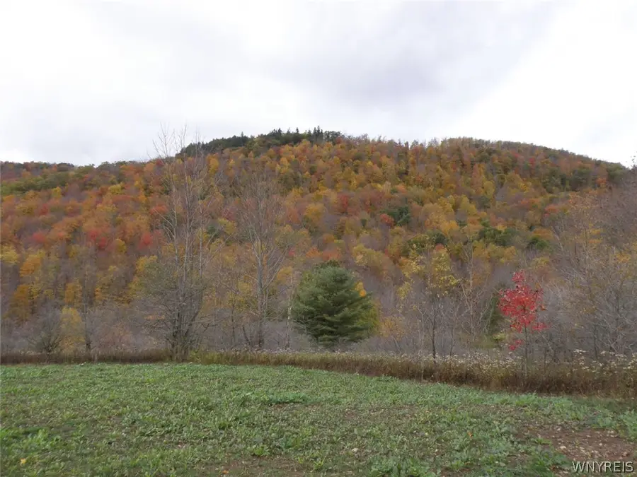 Gregory Holw Road, Hamden, NY 13782 - #2