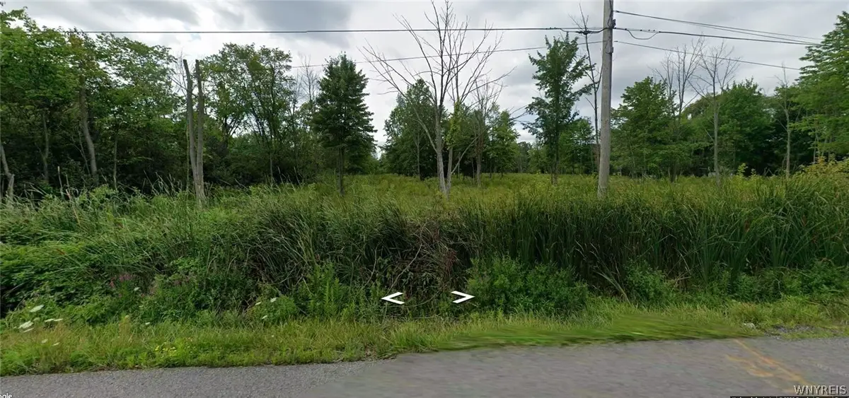 Love Road, Grand Island, NY 14072 - #1