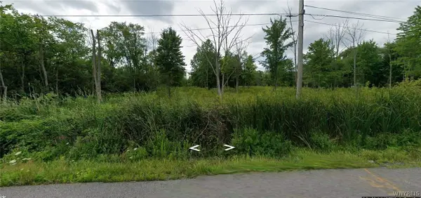 Love Road, Grand Island, NY 14072