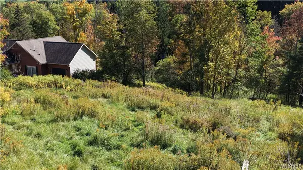 6843 Springs Road, Ellicottville, NY 14731