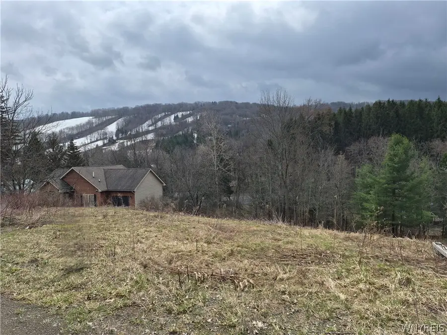 6843 Springs Road, Ellicottville, NY 14731 - #3