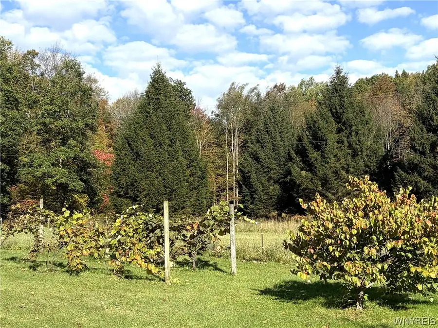 8078 Higgins Road, Fillmore, NY 14735 - #3