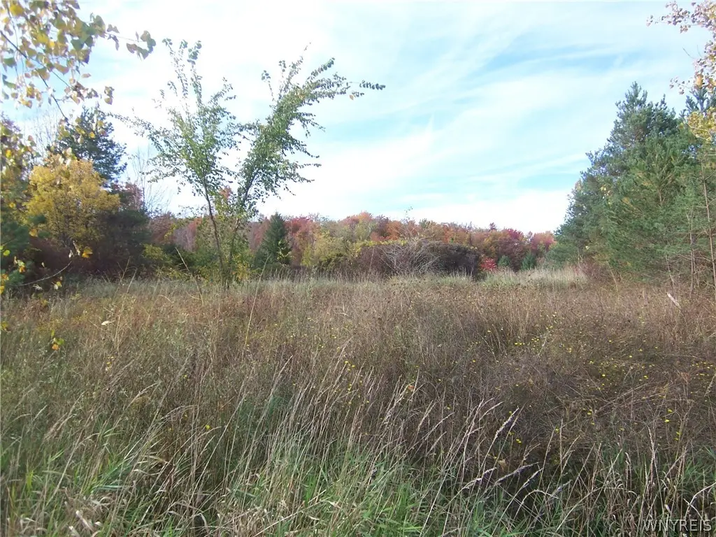 Lot 1 Colony Run, Alexander, NY 14005 - #1