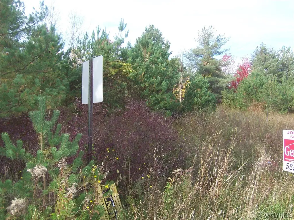 Lot 3 Colony Run, Alexander, NY 14005 - #1